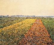 The Yellow Fields at Gennevilliers Gustave Caillebotte